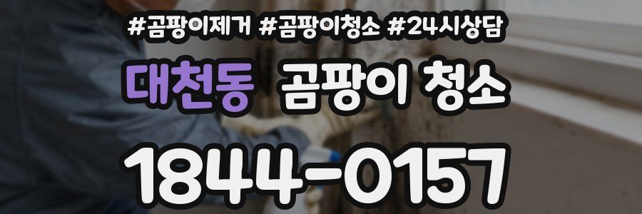 대천동 곰팡이 청소