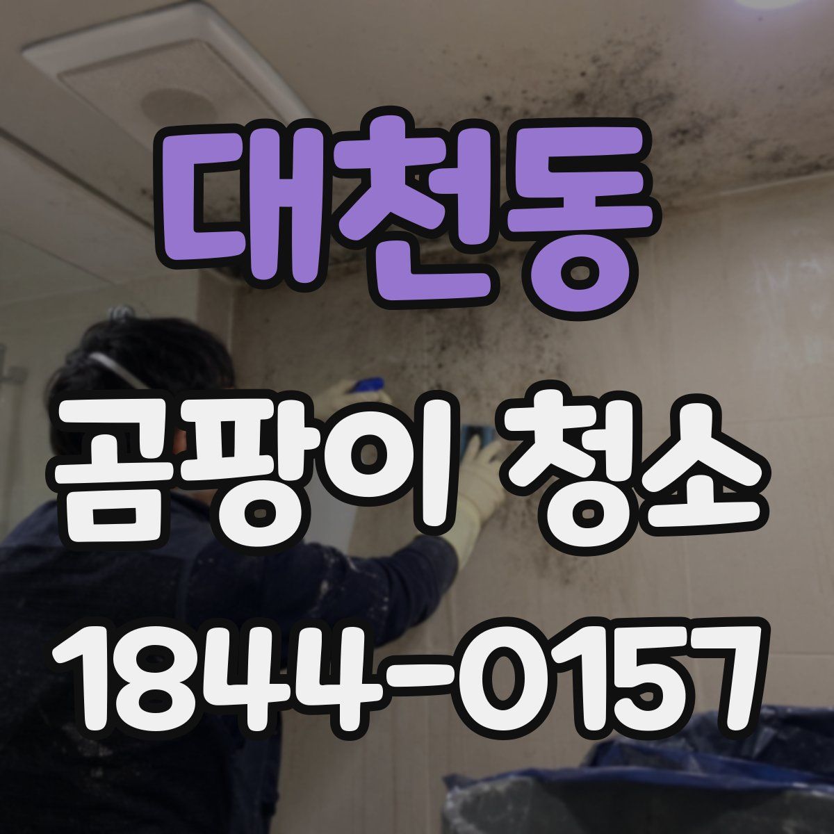 대천동 곰팡이 청소