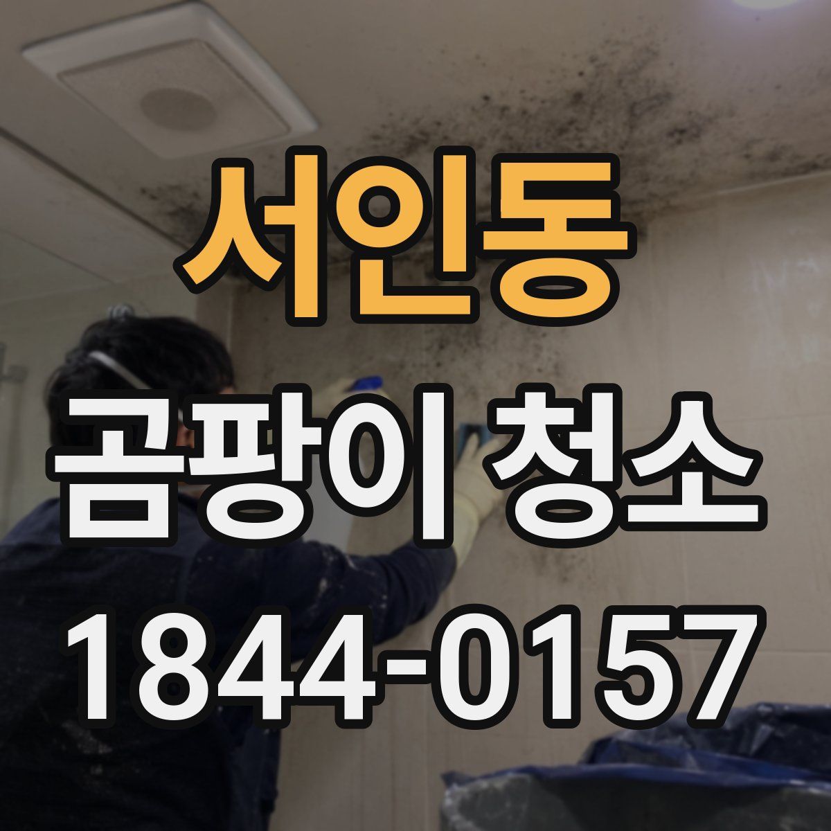 서인동 곰팡이 청소