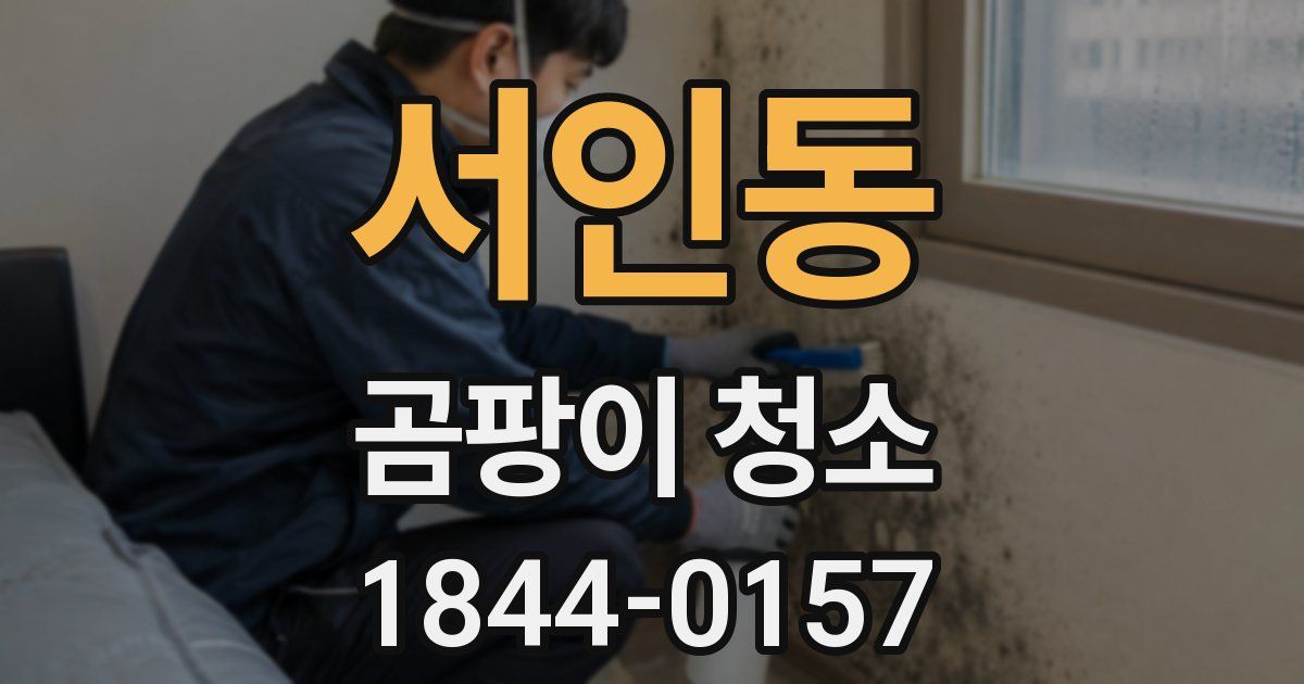 서인동 곰팡이 청소