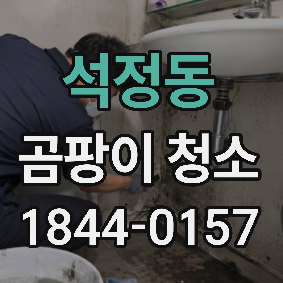 석정동 곰팡이 청소 주거 공간별 청소 범위를 나눠 보는 기준