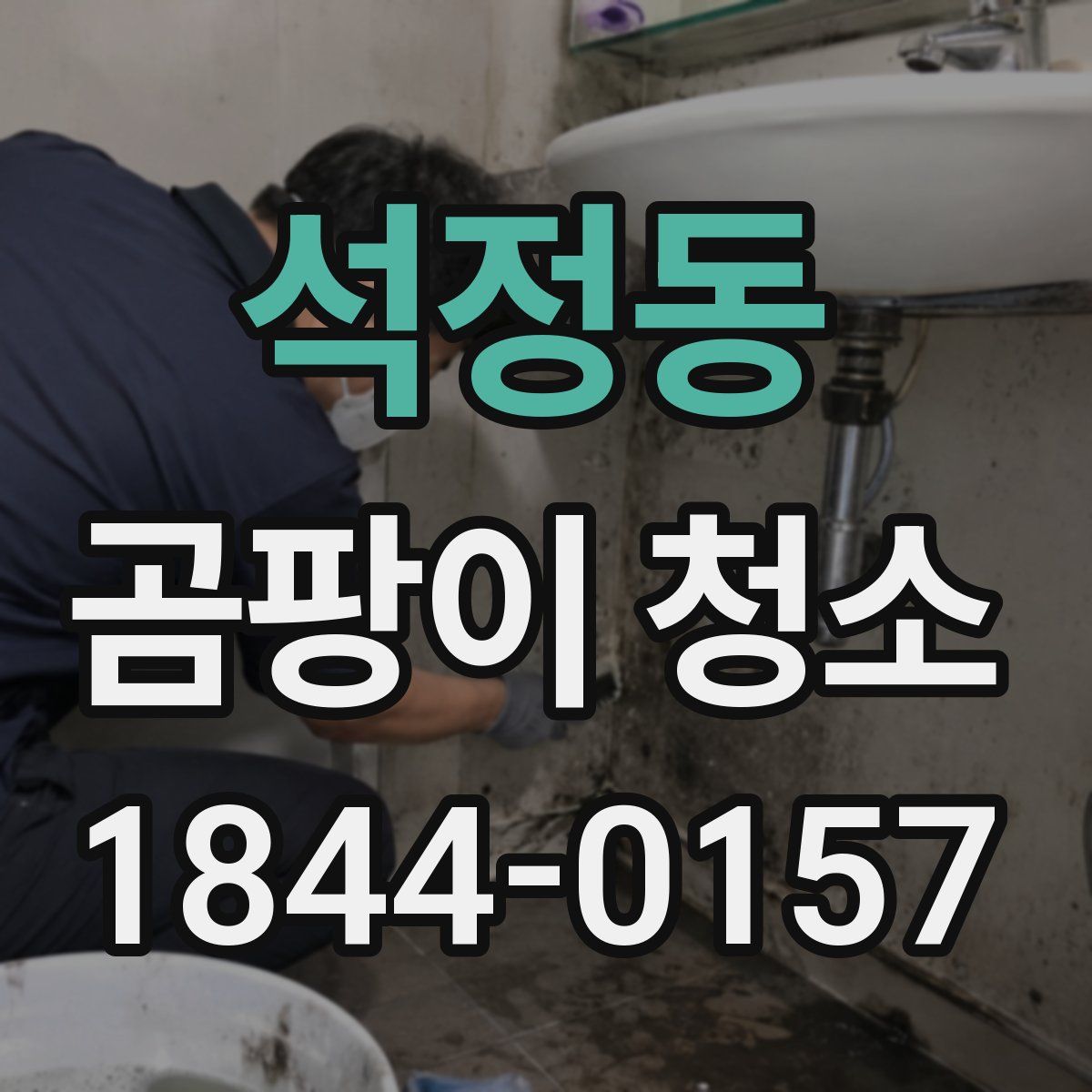 석정동 곰팡이 청소