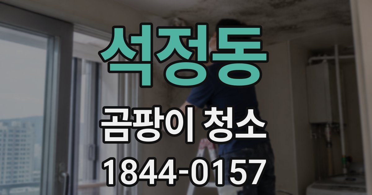 석정동 곰팡이 청소