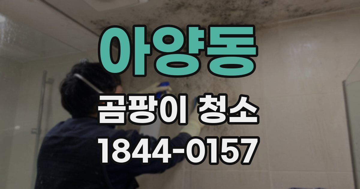 아양동 곰팡이 청소