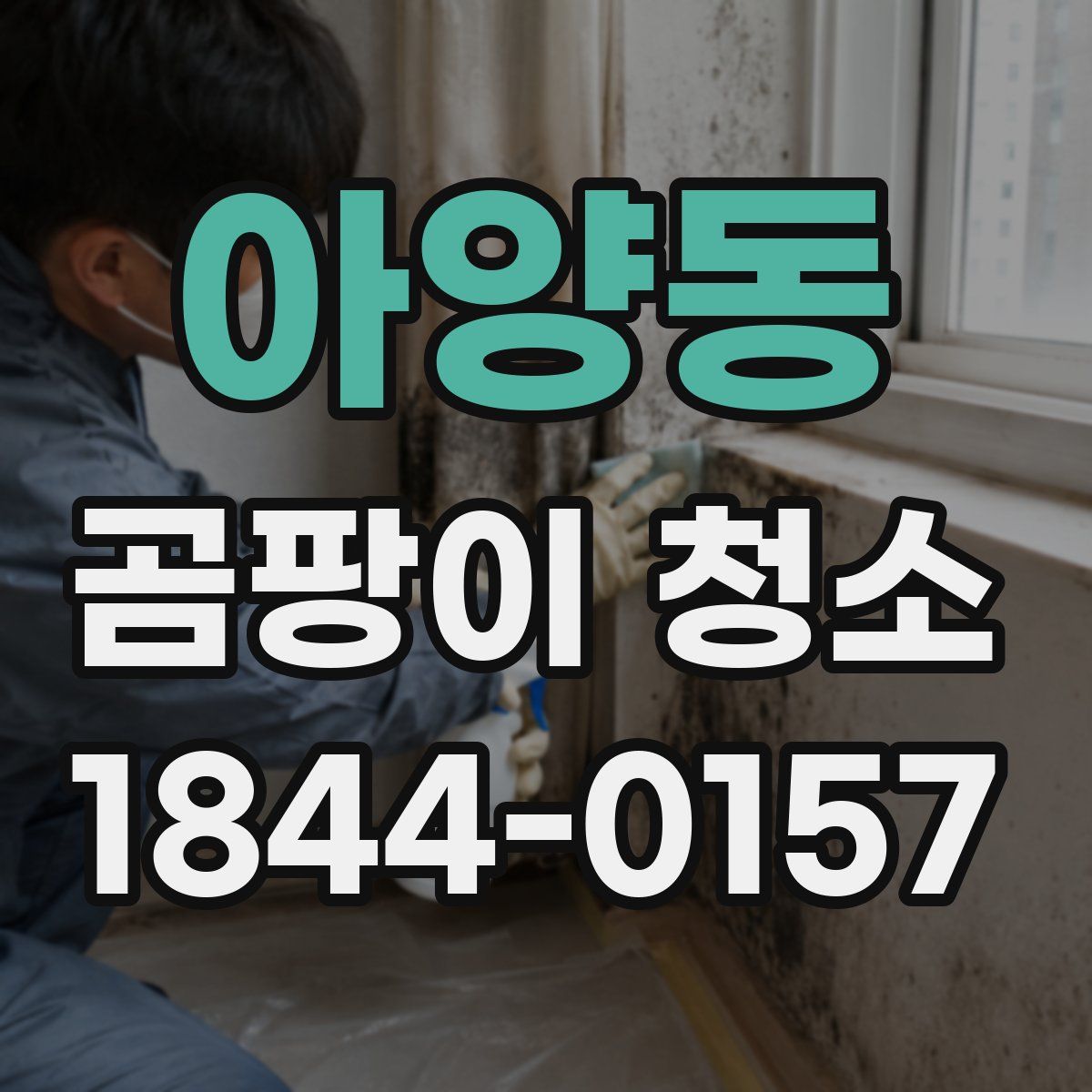 아양동 곰팡이 청소