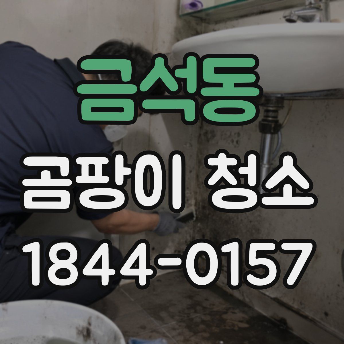 금석동 곰팡이 청소