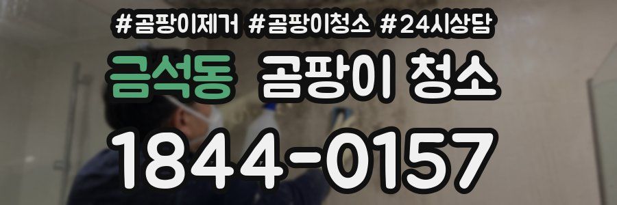 금석동 곰팡이 청소