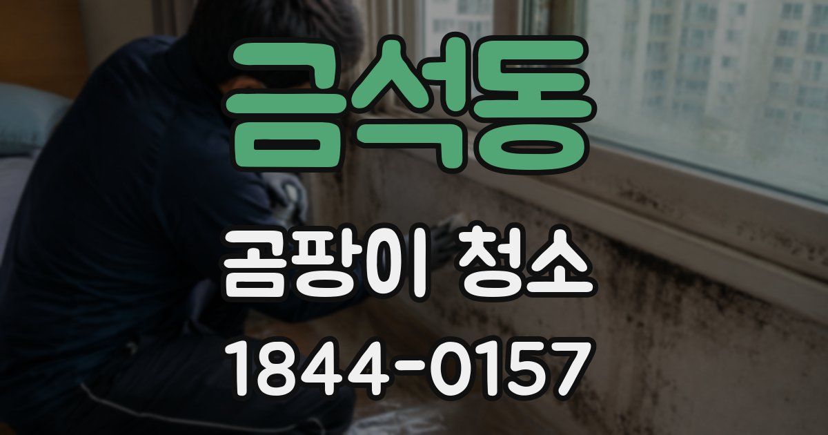 금석동 곰팡이 청소
