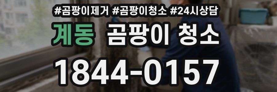 계동 곰팡이 청소