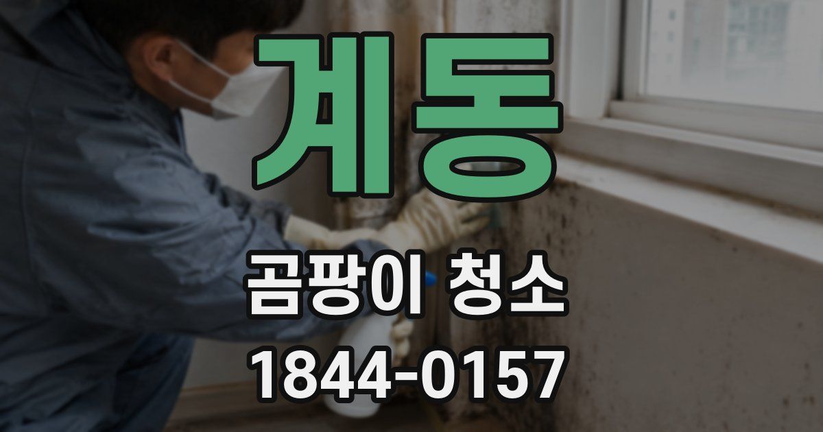 계동 곰팡이 청소