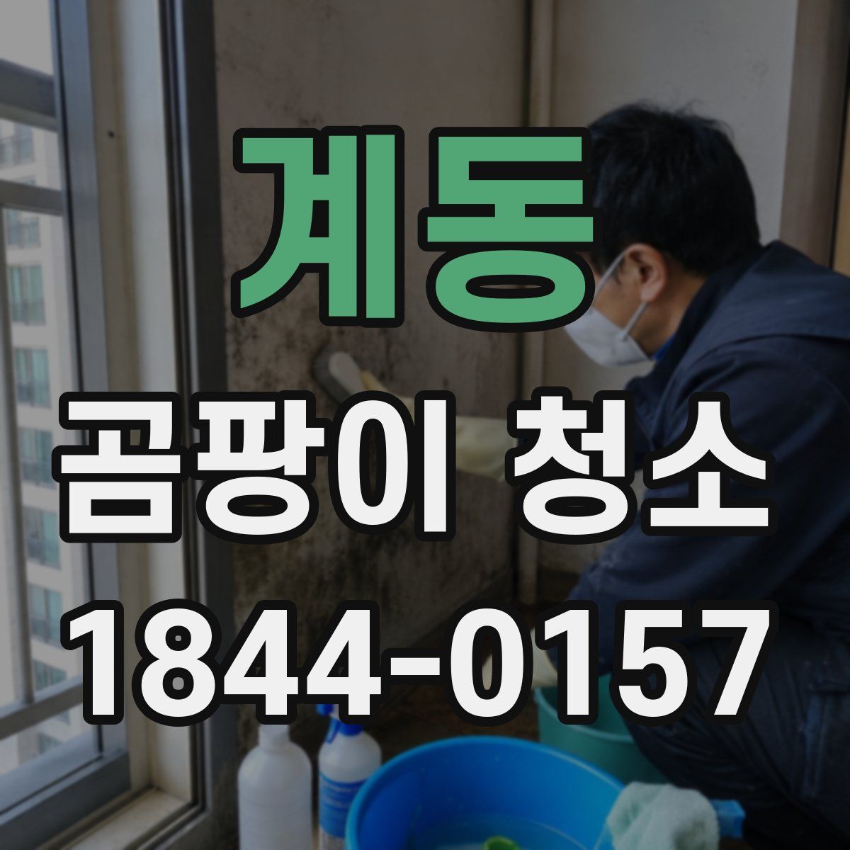계동 곰팡이 청소