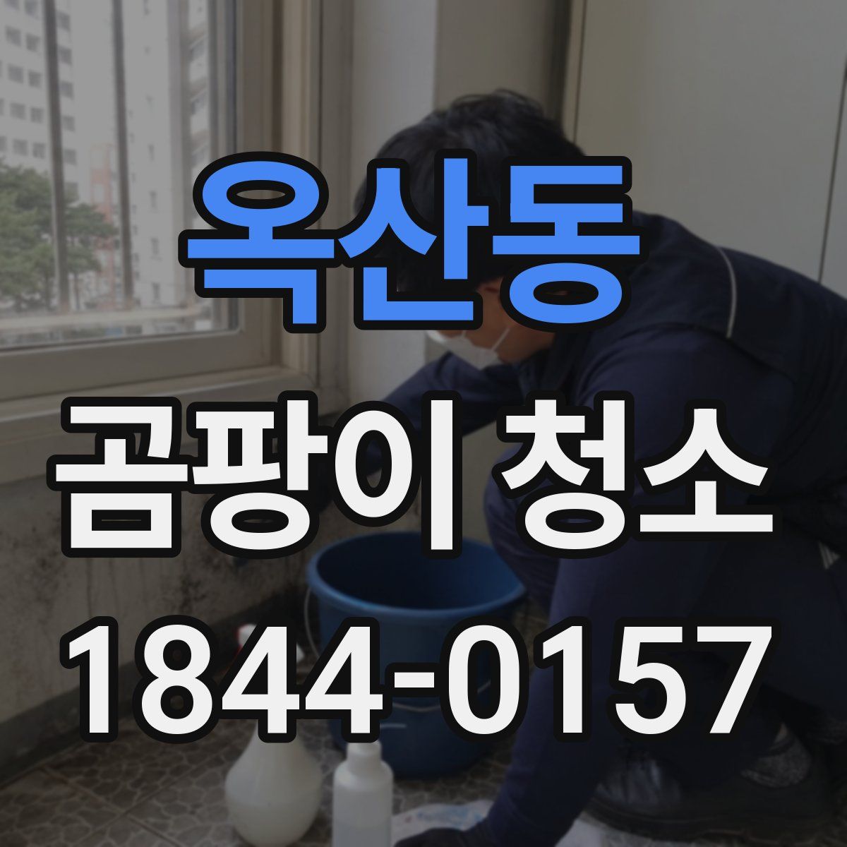옥산동 곰팡이 청소