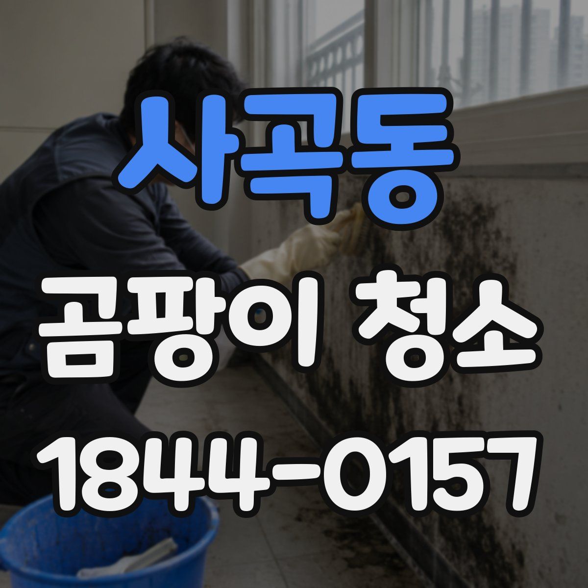 사곡동 곰팡이 청소