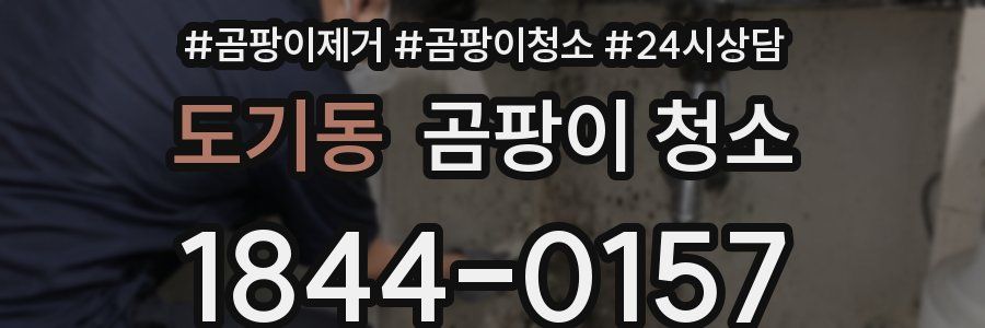 도기동 곰팡이 청소