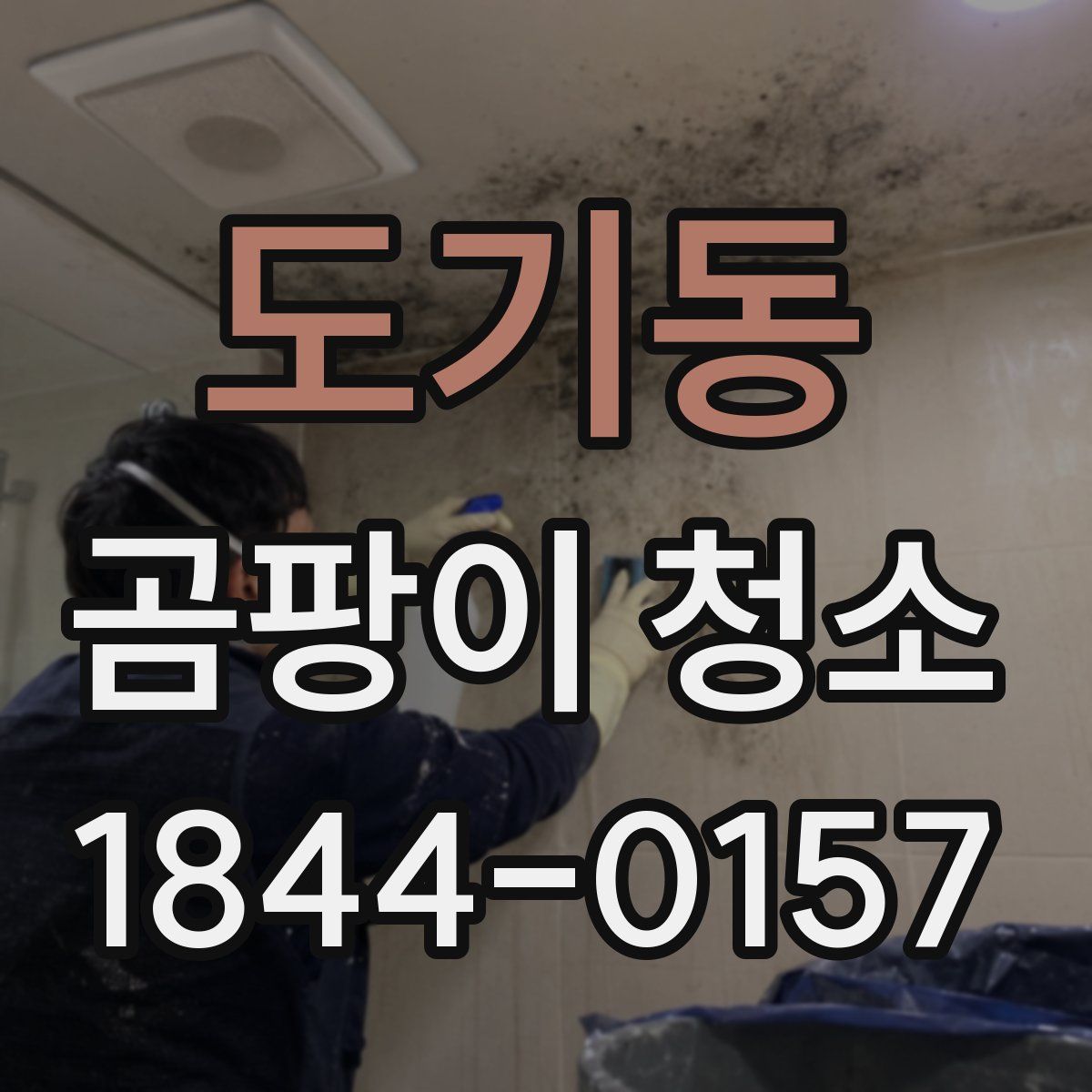 도기동 곰팡이 청소