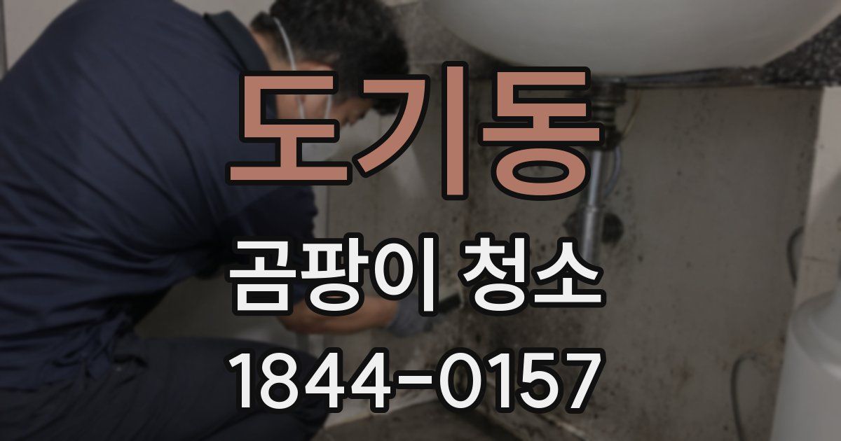 도기동 곰팡이 청소