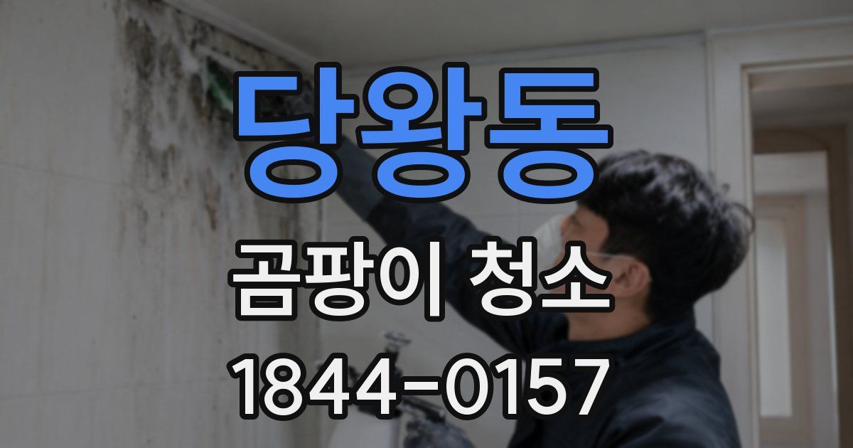 당왕동 곰팡이 청소