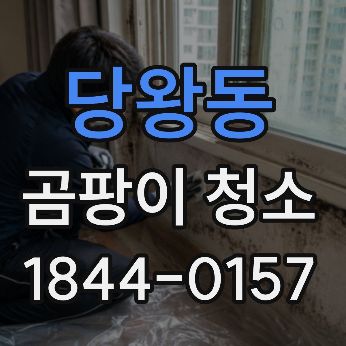 당왕동 곰팡이 청소
