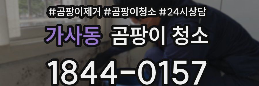 가사동 곰팡이 청소
