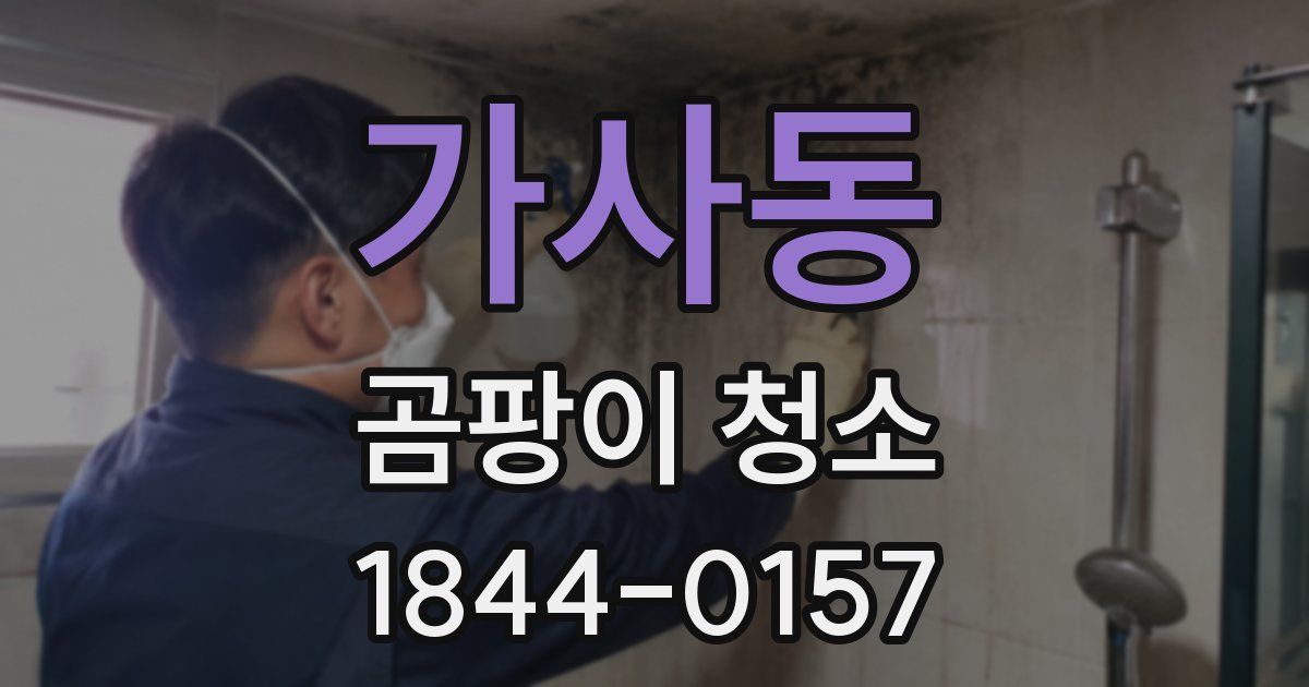 가사동 곰팡이 청소