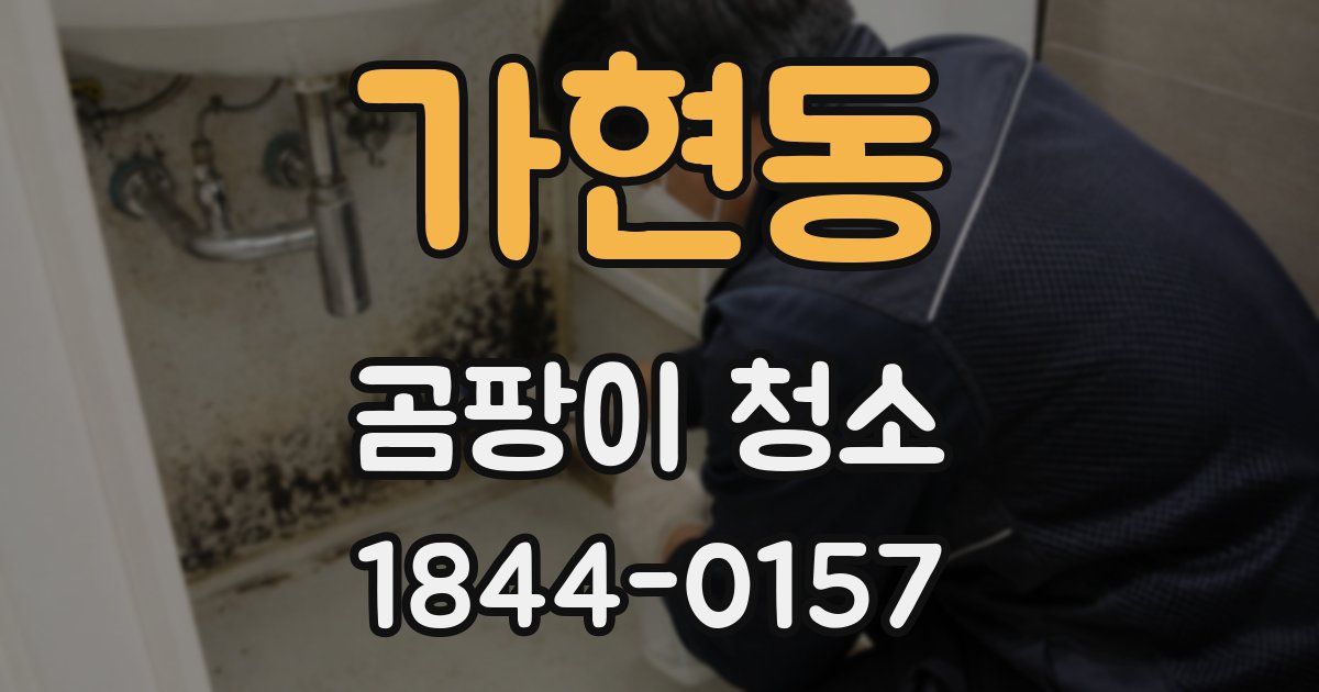 가현동 곰팡이 청소