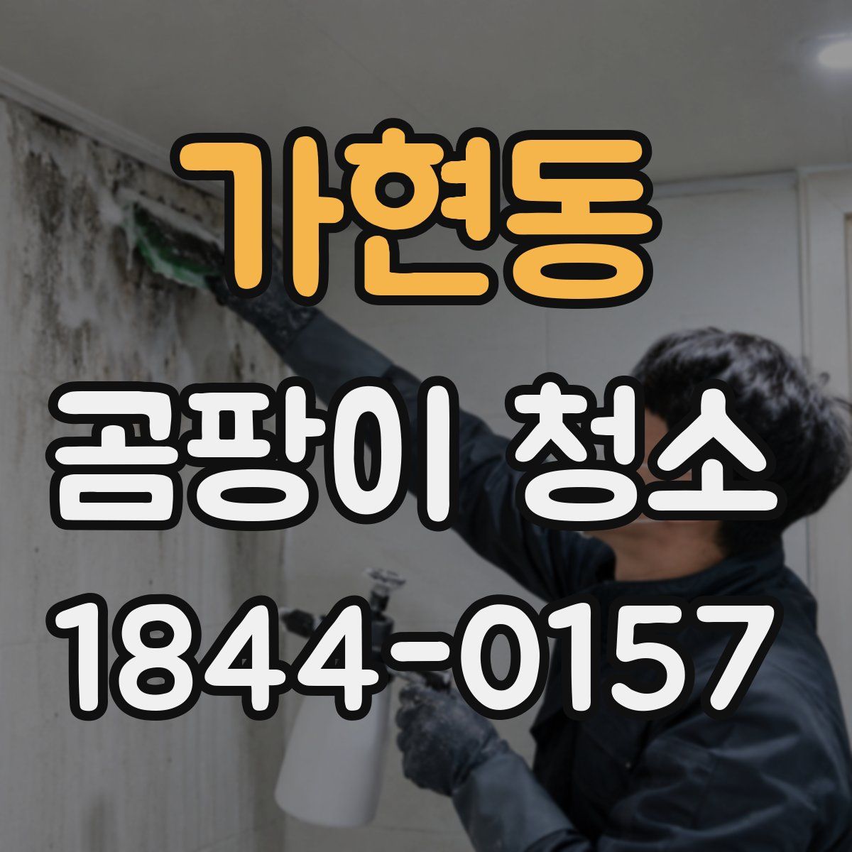 가현동 곰팡이 청소