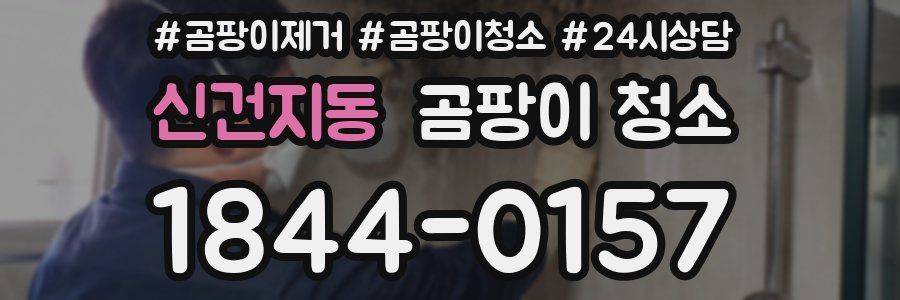 신건지동 곰팡이 청소