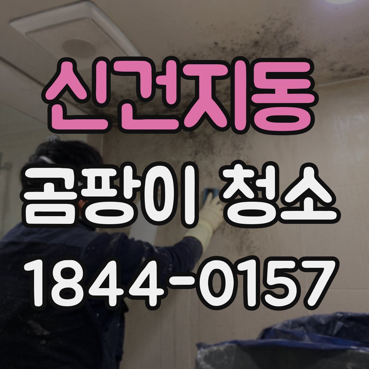 신건지동 곰팡이 청소