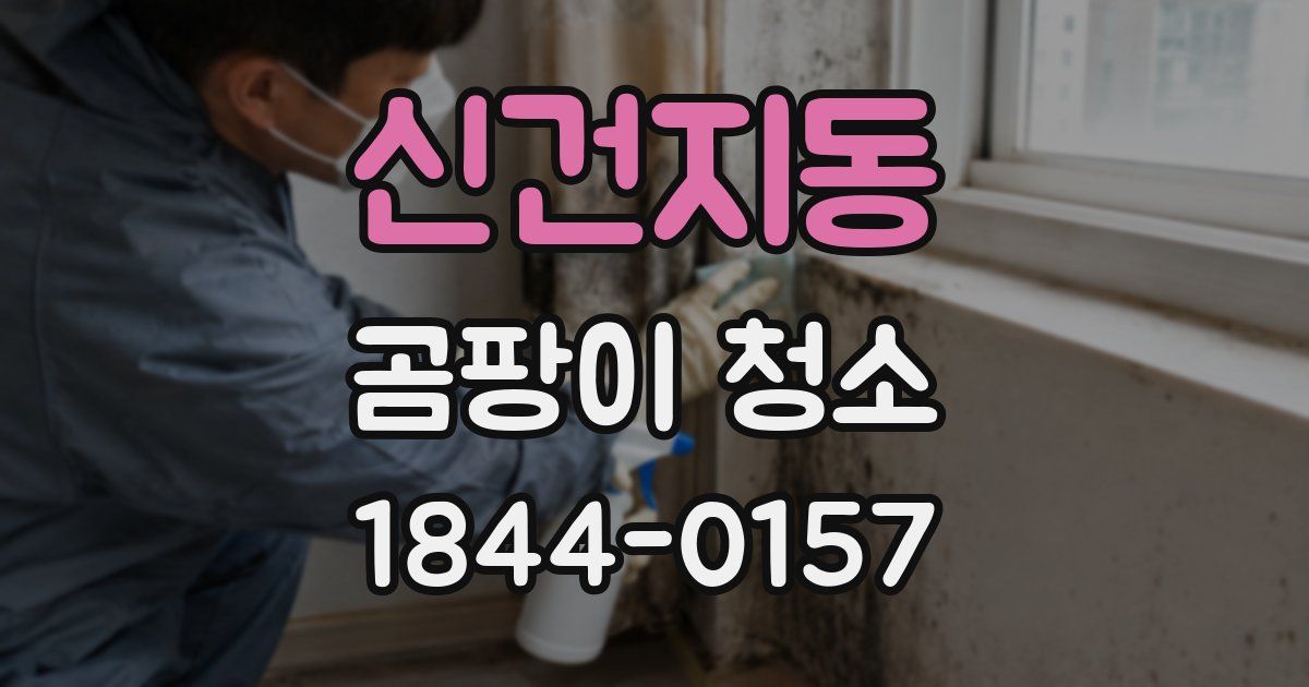 신건지동 곰팡이 청소
