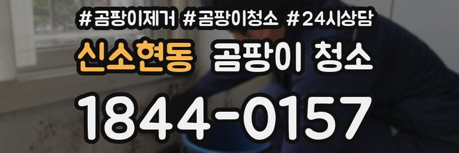 신소현동 곰팡이 청소