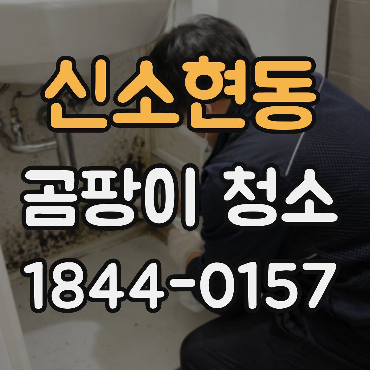 신소현동 곰팡이 청소