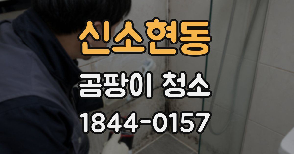 신소현동 곰팡이 청소