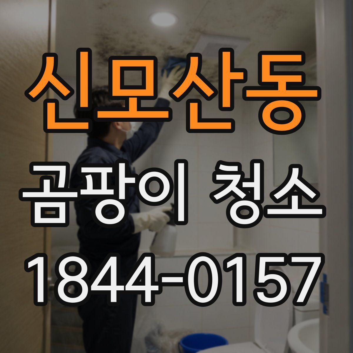 신모산동 곰팡이 청소