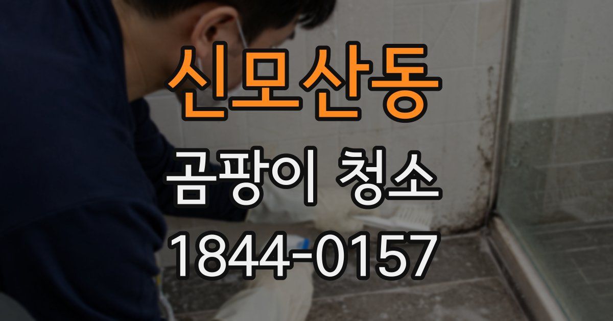 신모산동 곰팡이 청소