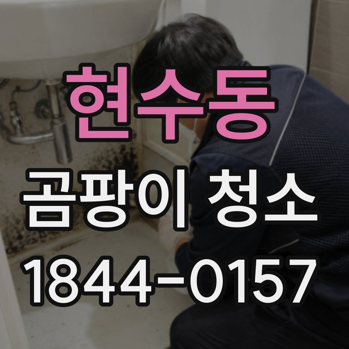 현수동 곰팡이 청소