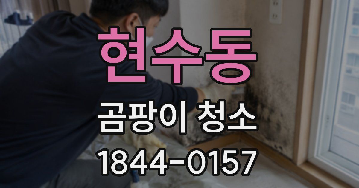 현수동 곰팡이 청소