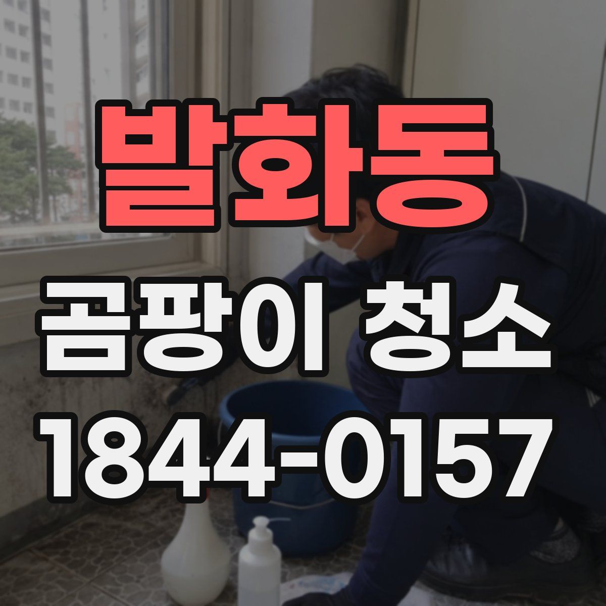 발화동 곰팡이 청소
