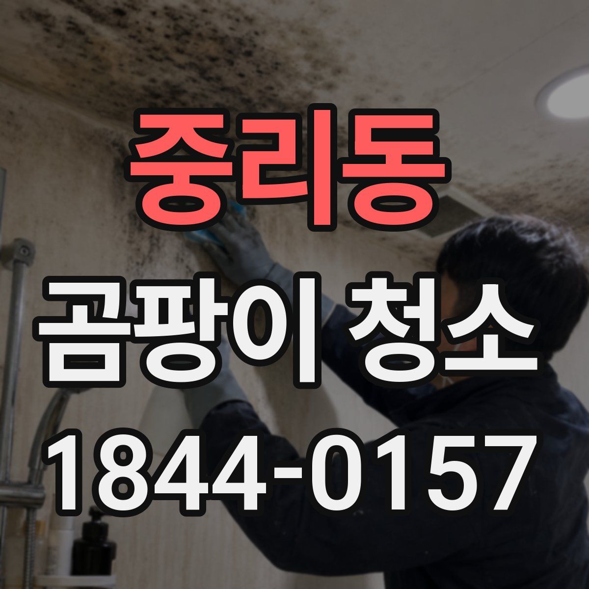 중리동 곰팡이 청소