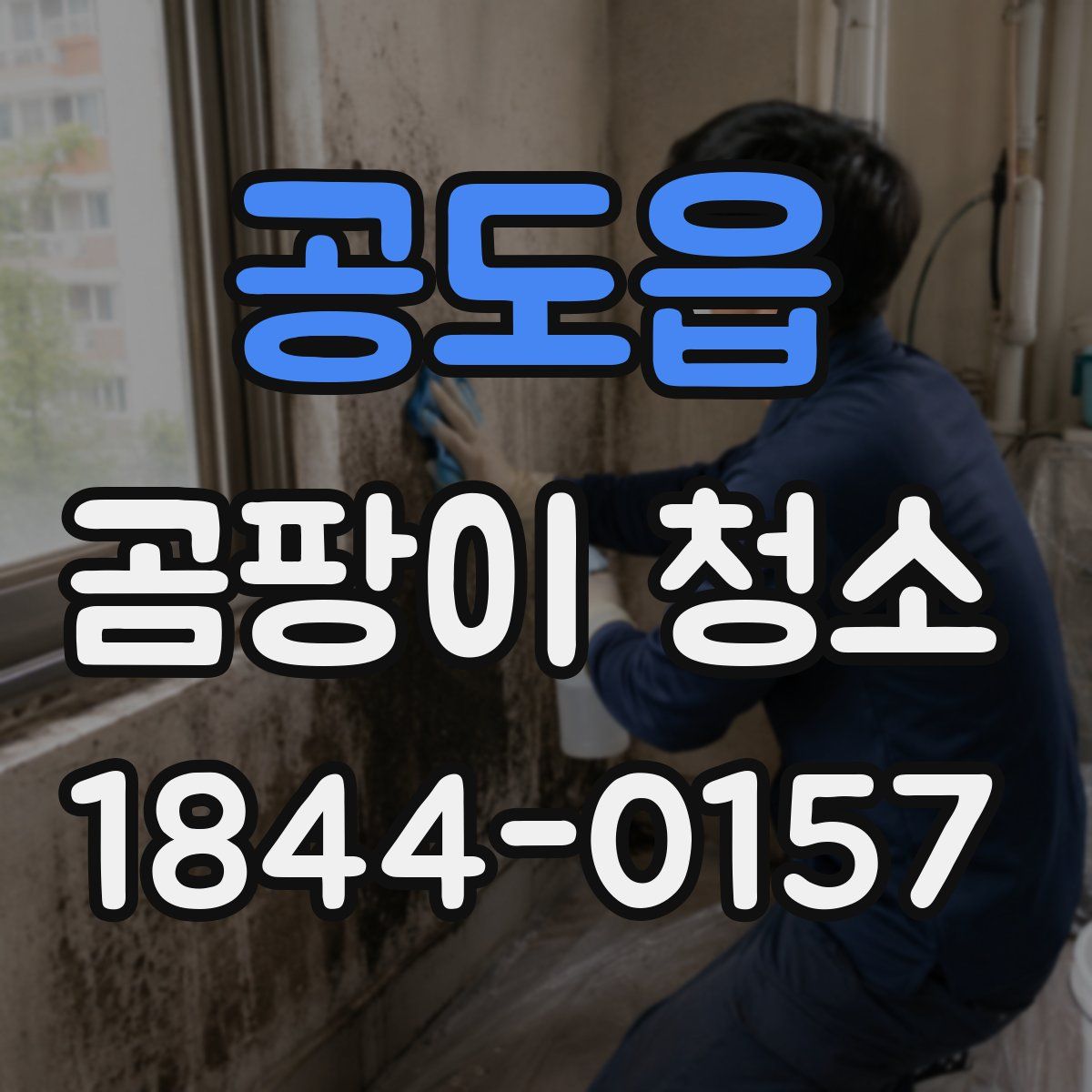 공도읍 곰팡이 청소