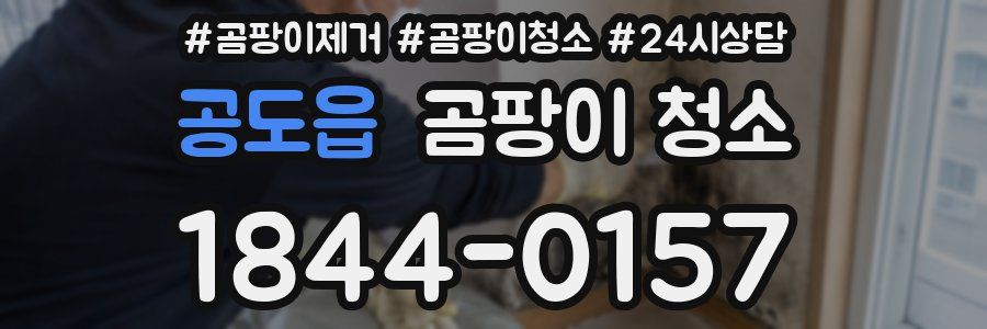 공도읍 곰팡이 청소