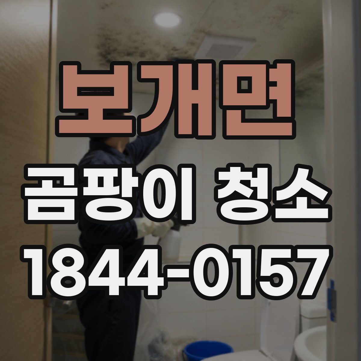 보개면 곰팡이 청소