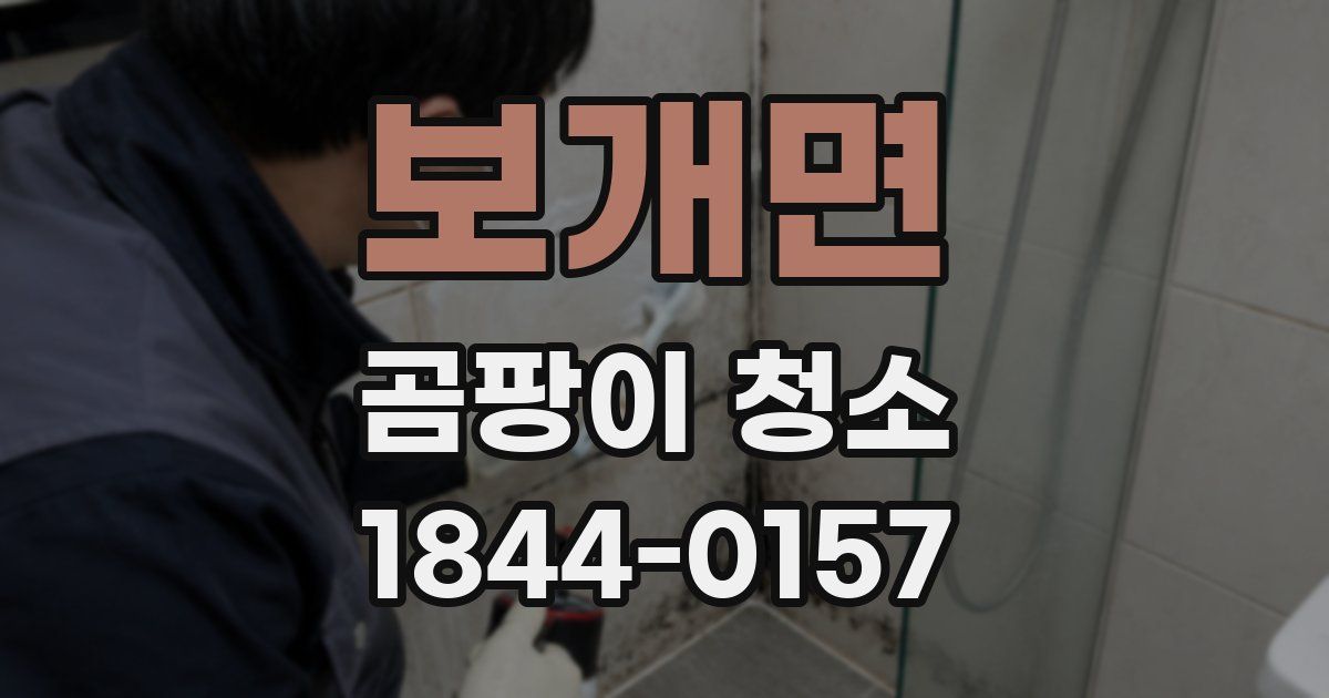 보개면 곰팡이 청소