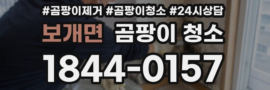 보개면 곰팡이 청소