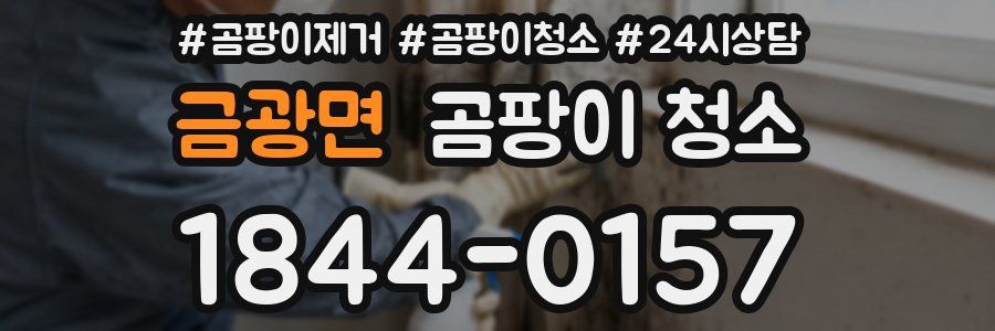 금광면 곰팡이 청소