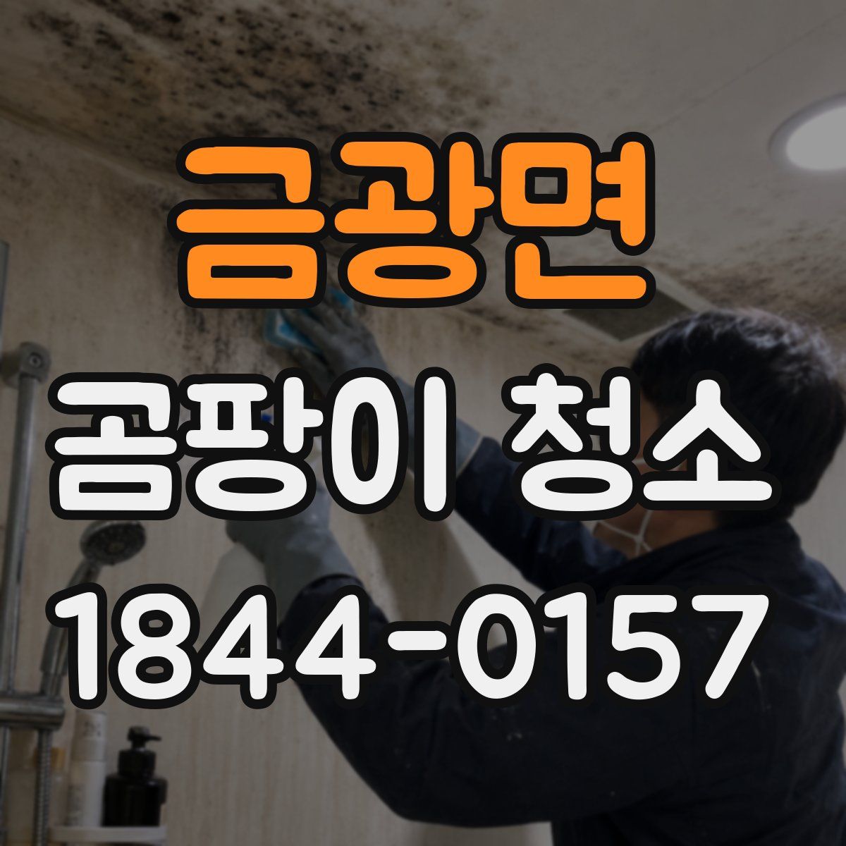 금광면 곰팡이 청소