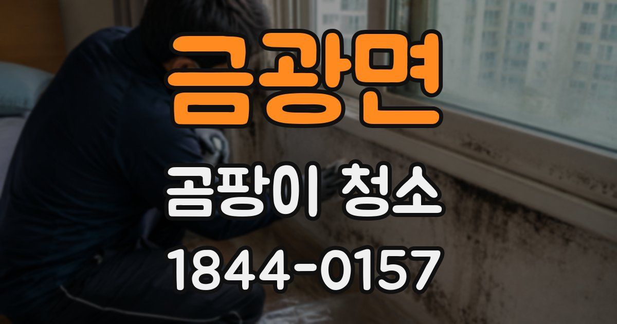 금광면 곰팡이 청소