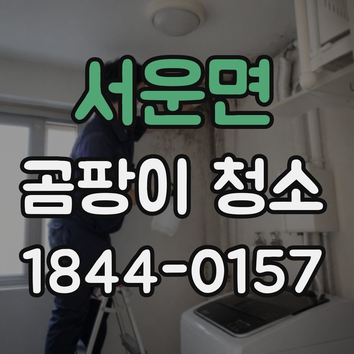 서운면 곰팡이 청소 주방 벽면 습기와 번식 원인 살피기