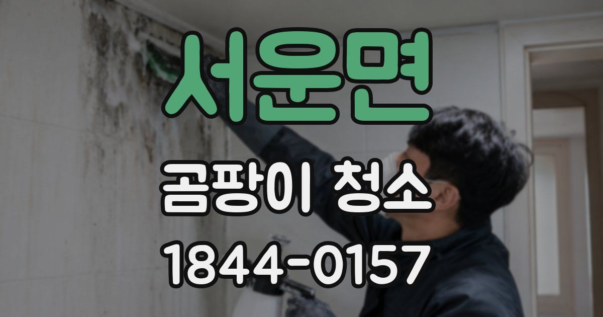 서운면 곰팡이 청소