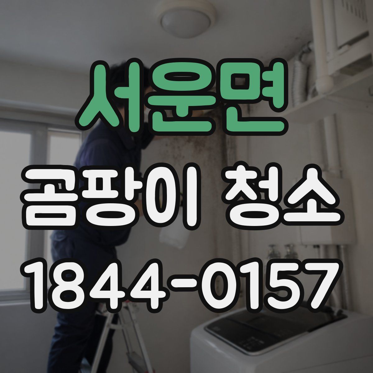 서운면 곰팡이 청소