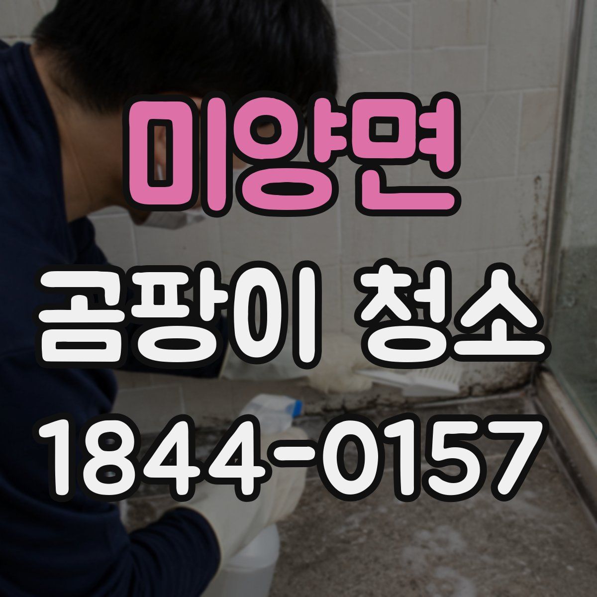 미양면 곰팡이 청소